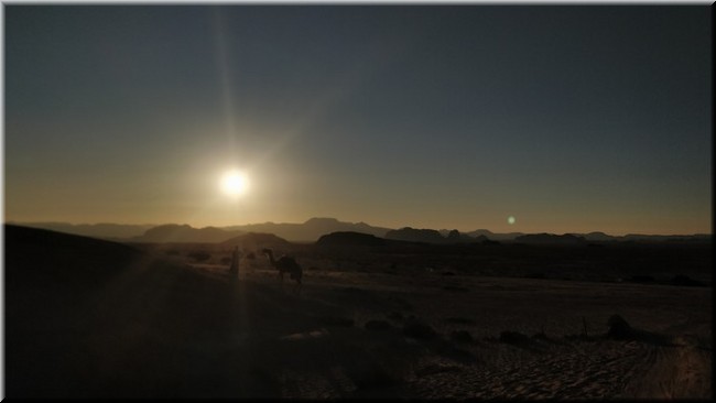 4-18-Desierto y camello.jpg