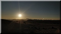 4-18-Desierto y camello.jpg
