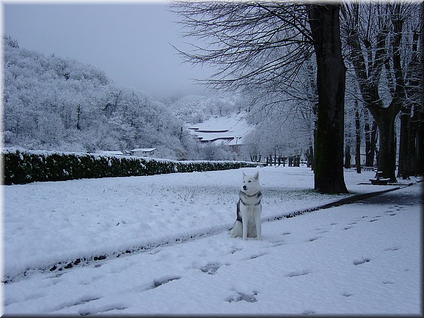 016 Nieve en el Inzakardi.JPG