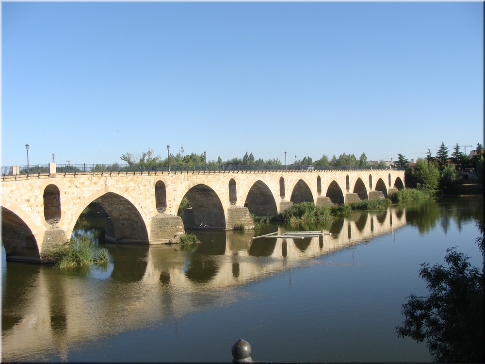 01000-Zamora-Puente Romano-DSC02165.JPG