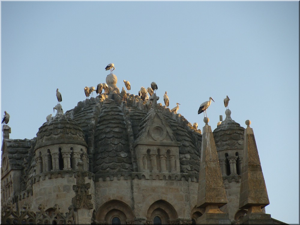01700-Zamora-Catedral-DSC02192.JPG