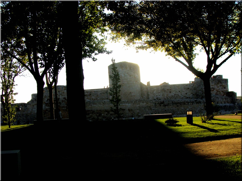 02300-Zamora-Castillo-DSC02180.JPG