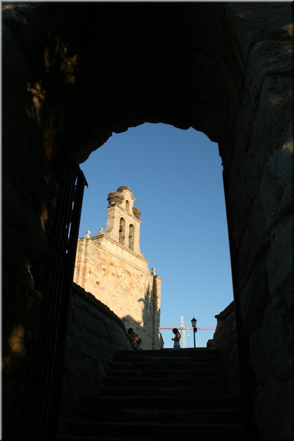 02506-Zamora-IMG_4534.JPG