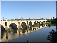 01000-Zamora-Puente Romano-DSC02165.JPG