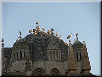 01700-Zamora-Catedral-DSC02192.JPG