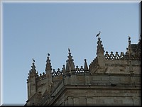 01800--Zamora-Catedral-DSC02193.JPG