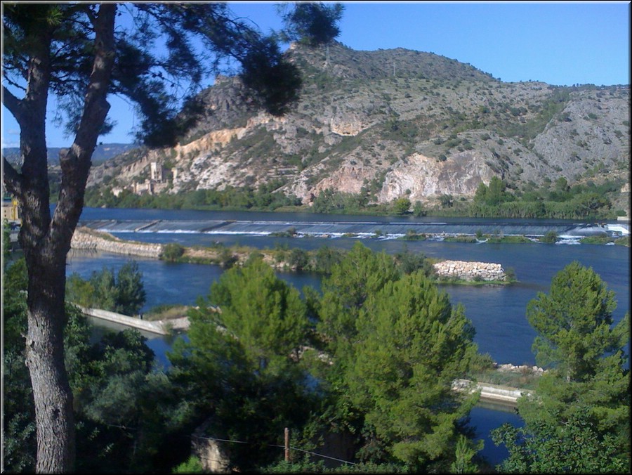 0201-Miravet a Benifallet-IMG_0439.jpg