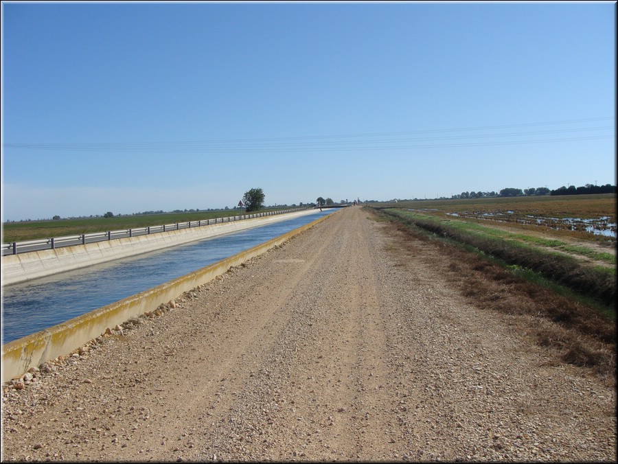 0250-Canal a la derecha del Ebro-DSC01350.JPG