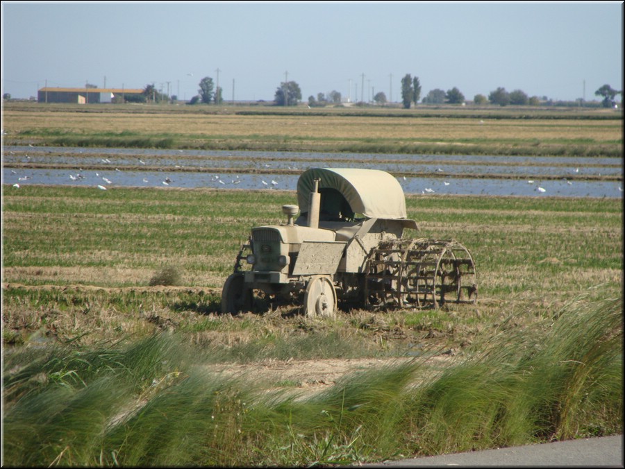 0280-Tractor de arrozales-DSC01353.JPG