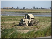 0280-Tractor de arrozales-DSC01353.JPG
