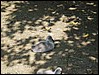 149-Salamanca_Cabezon 090.jpg