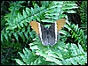152-Salamanca_Cabezon 095.jpg