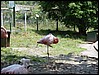 154-Salamanca_Cabezon 100.jpg