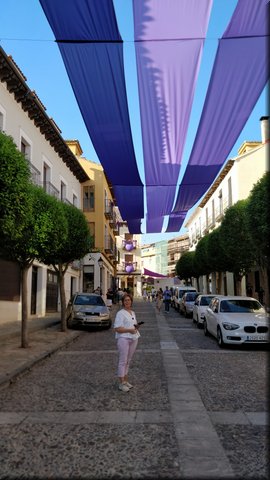 03 Brihuega - Calle Mayor.jpg
