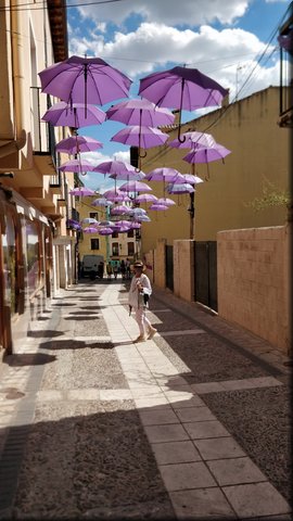 16 Brihuega - Feria de la lavanda.jpg