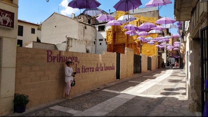 17 Brihuega - Feria de la lavanda.jpg