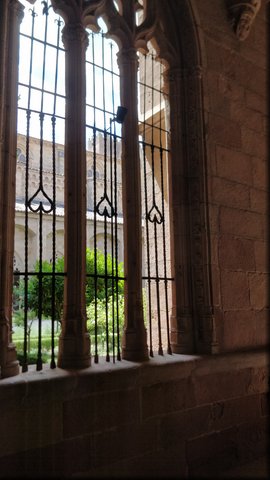 64  - Siguenza - Catedral de Sta Maria - Claustro.jpg