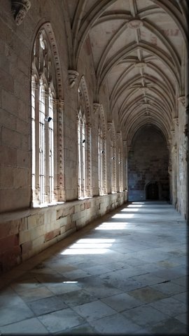 65  - Siguenza - Catedral de Sta Maria - Claustro.jpg