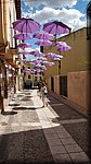 16 Brihuega - Feria de la lavanda.jpg