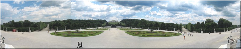 2892-Rosa-B-P-V-Viena-Schonbrunn-a-b-c-d-.jpg
