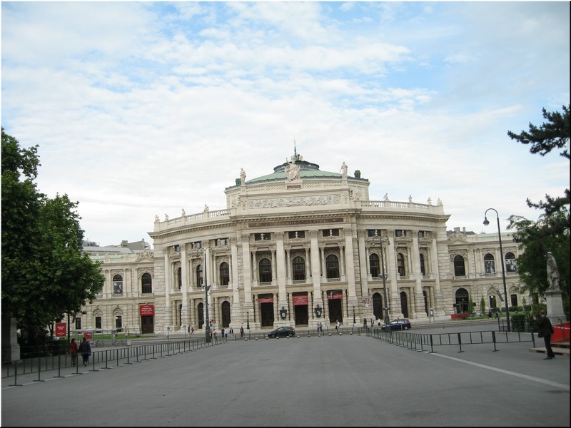 2974-Rosa-B-P-V-Viena¿¿.jpg