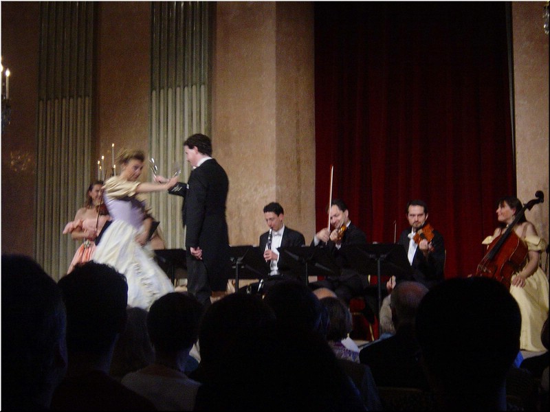 3130-Diego-B-P-V-Viena-Auersperg.jpg