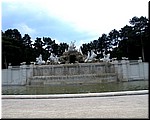 2849-Pedro-B-P-V-Viena-Schonbrunn.JPG