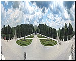 2892-Rosa-B-P-V-Viena-Schonbrunn-a-b-c-d-.jpg