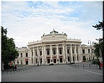 2974-Rosa-B-P-V-Viena¿¿.jpg