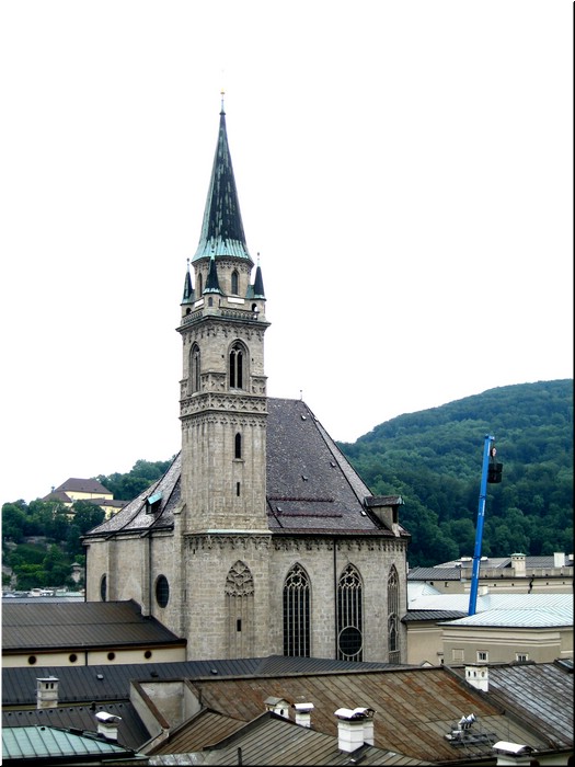 3312-Rosa-B-P-V-Salzburgo--.jpg