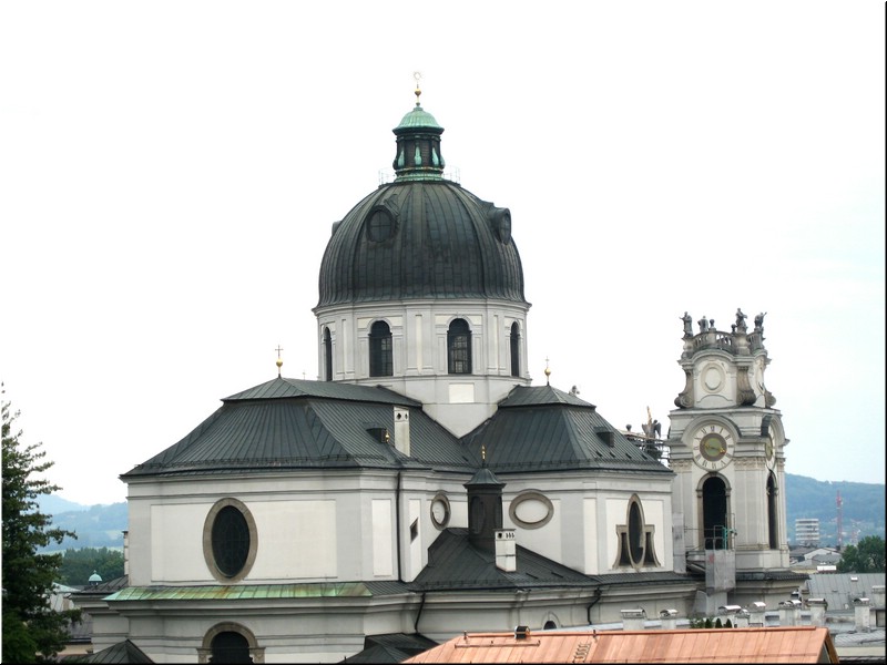 3313-Rosa-B-P-V-Salzburgo-.jpg
