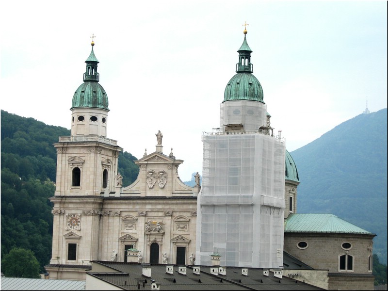 3314-Rosa-B-P-V-Salzburgo-.jpg