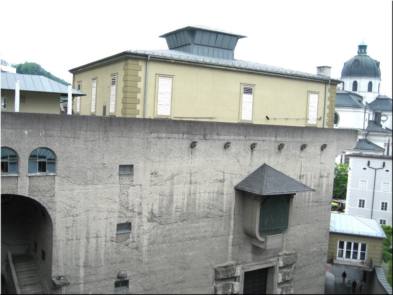 3321-Rosa-B-P-V-Salzburgo-.jpg
