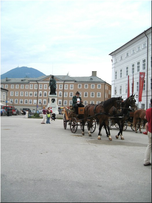 3362-Rosa-B-P-V-Salzburgo-.jpg