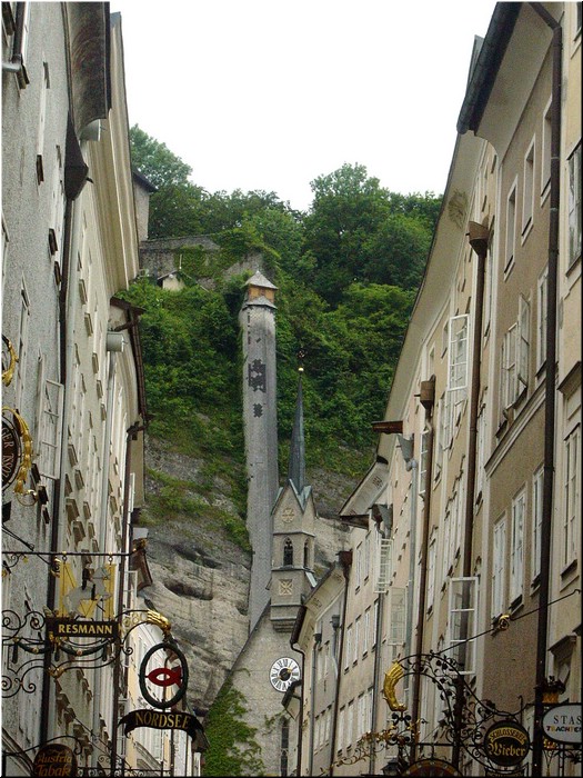 3400-Diego-B-P-V-Salzburgo-.jpg