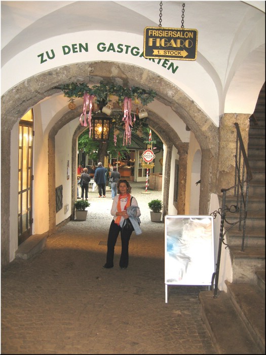3404-Rosa-B-P-V-Salzburgo-.jpg
