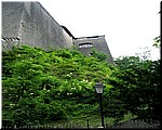 3253-Bud-Vie-Pra-Rosa- 102.jpg