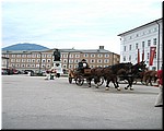 3362-Rosa-B-P-V-Salzburgo-.jpg
