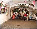 3401-Rosa-B-P-V-Salzburgo-.jpg
