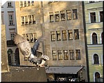 5152-Rosa-B-P-V-Praga-Puente-Carlos-Palomas.jpg