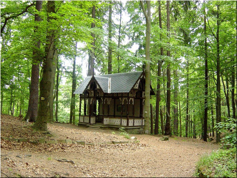 5760-Diego-B-P-V-Karlovy-Vary-Bosque.jpg