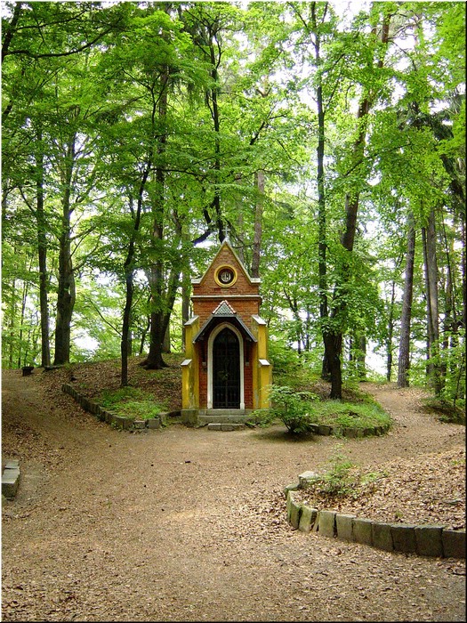 5770-Diego-B-P-V-Karlovy-Vary-Bosque.jpg
