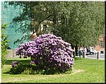 5239-Diego-B-P-V-Karlovy-Vary-.jpg