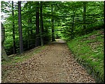 5750-Diego-B-P-V-Karlovy-Vary-Bosque.jpg